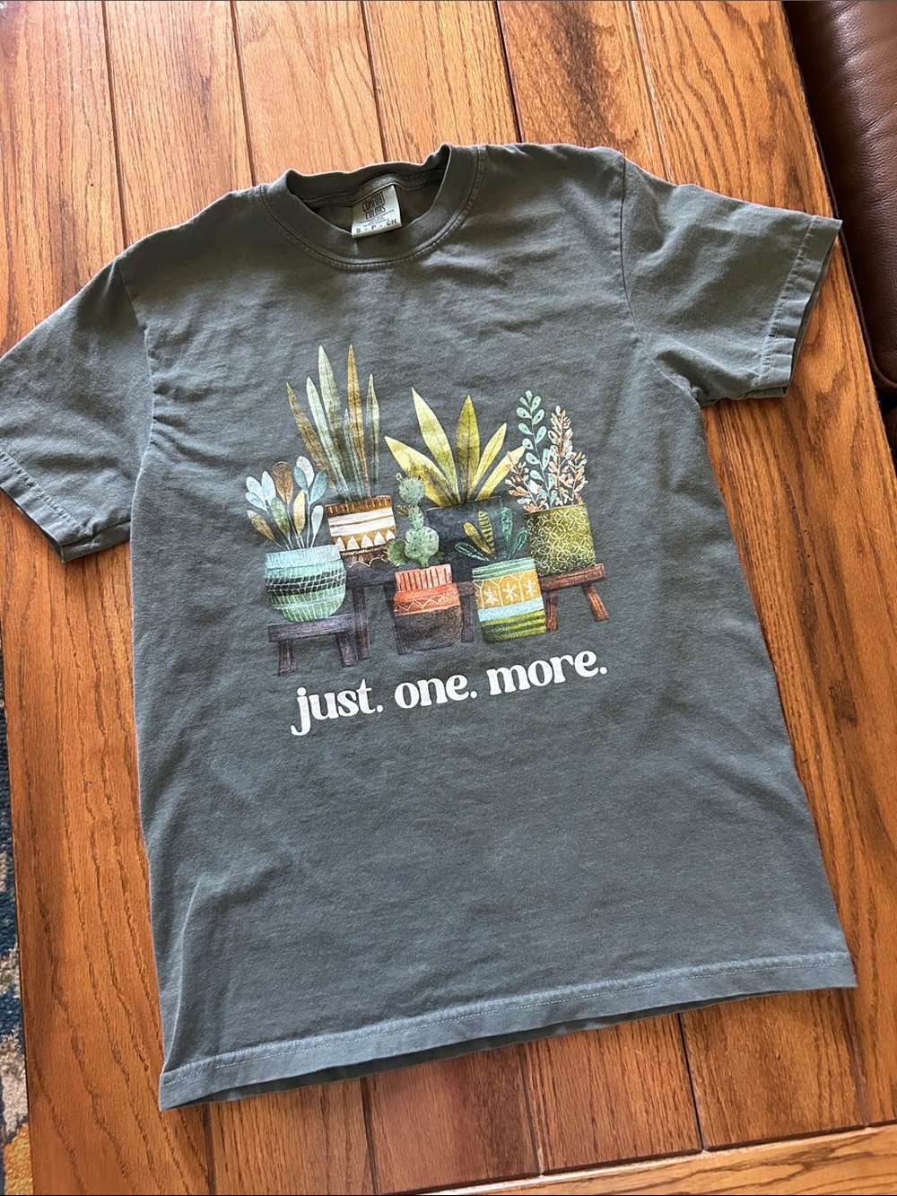 Comfort colors plant succulent graphic T-shirt